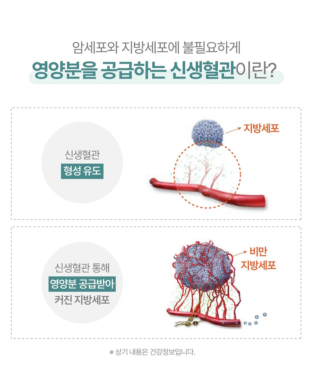 The Beige 26 Summer Collection 니트 14