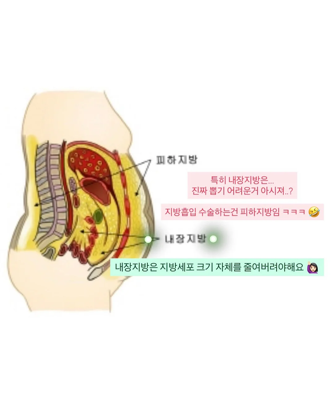 The Beige 26 Summer Collection 니트 8
