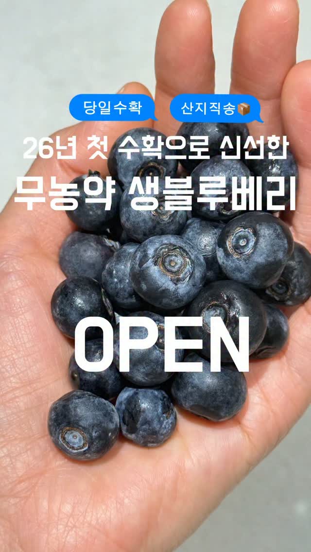 어른이 된 아이들을 위한 타투