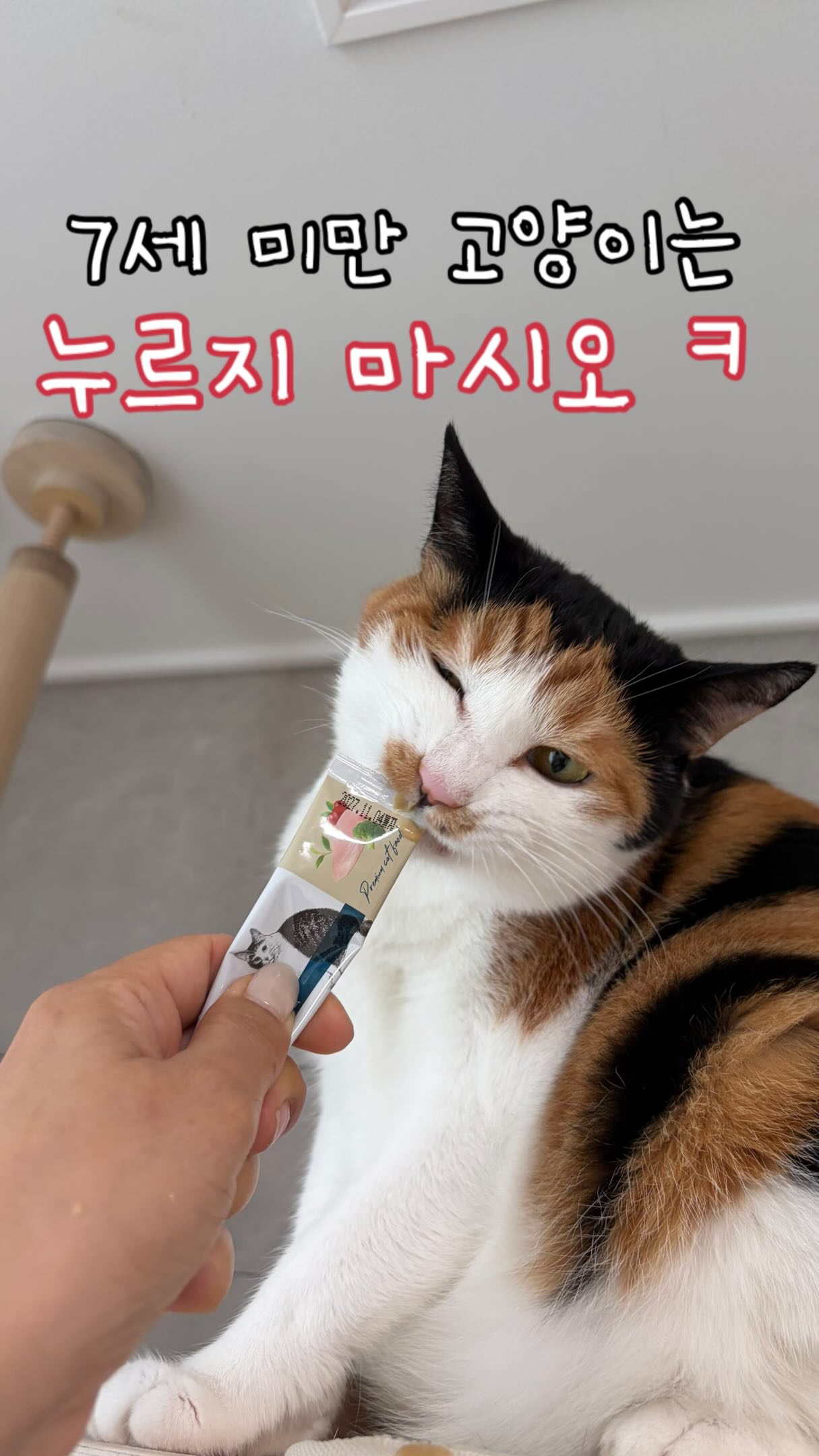 5mm 주방세제