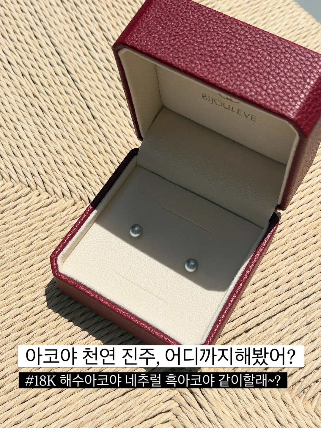 글로시블랙 보냉백팩 1