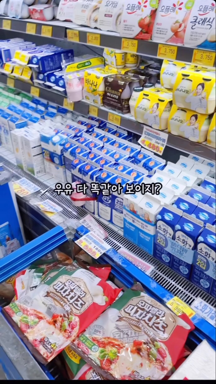 살랑블라우스