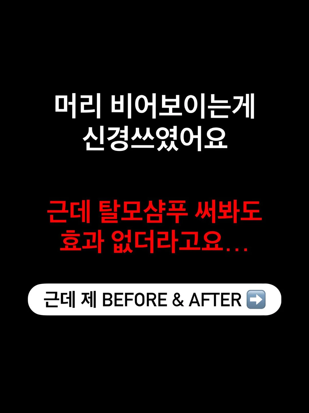 커스텀 화과자 50구 5