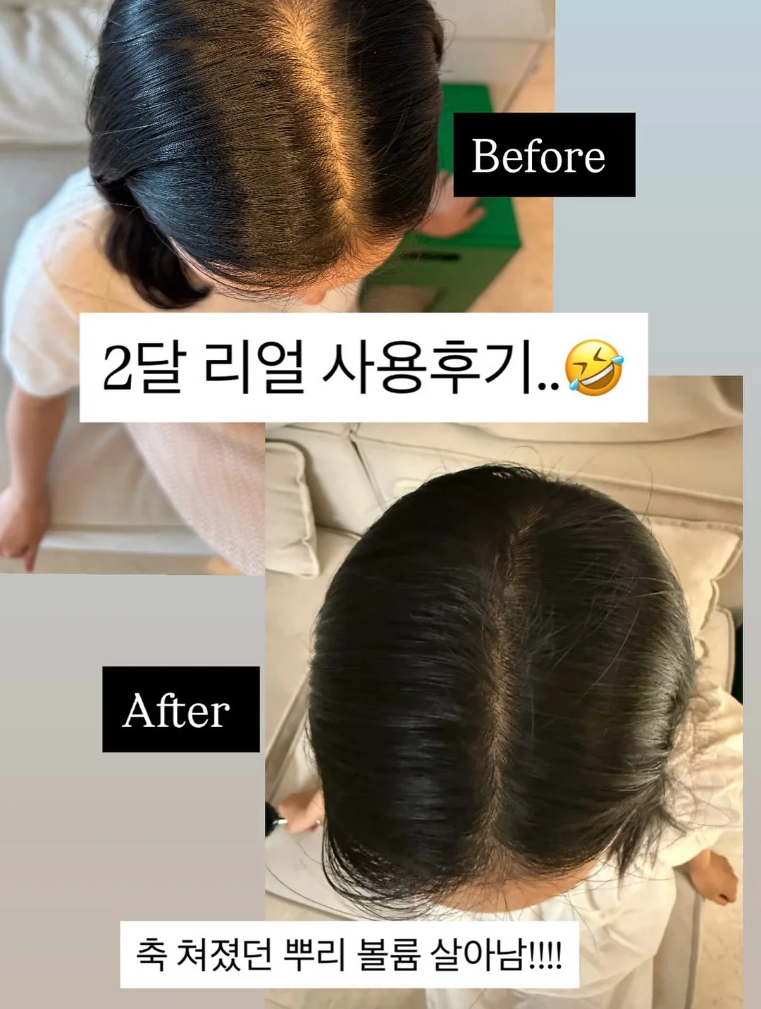 커스텀 화과자 50구 6