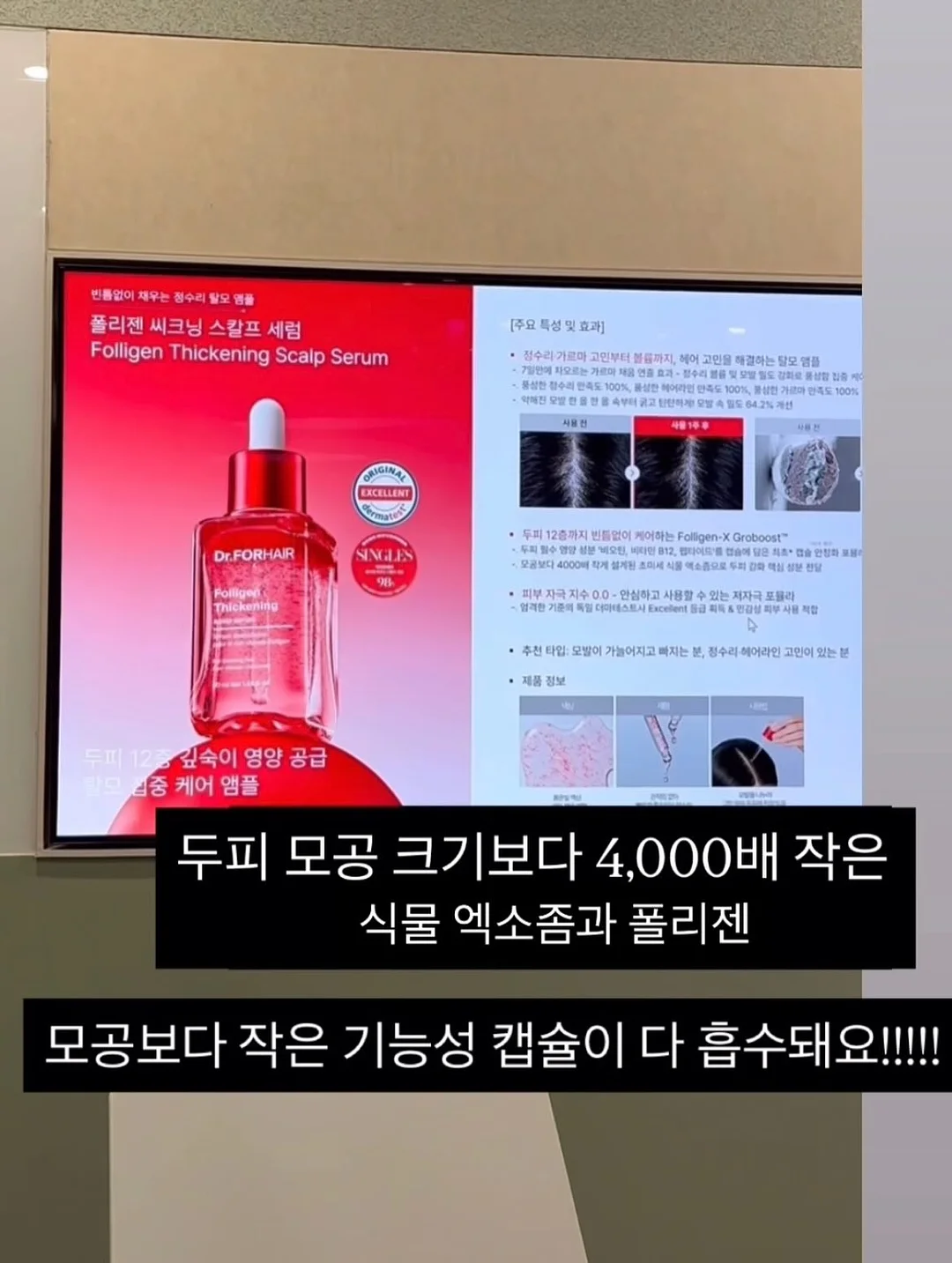 커스텀 화과자 50구 8