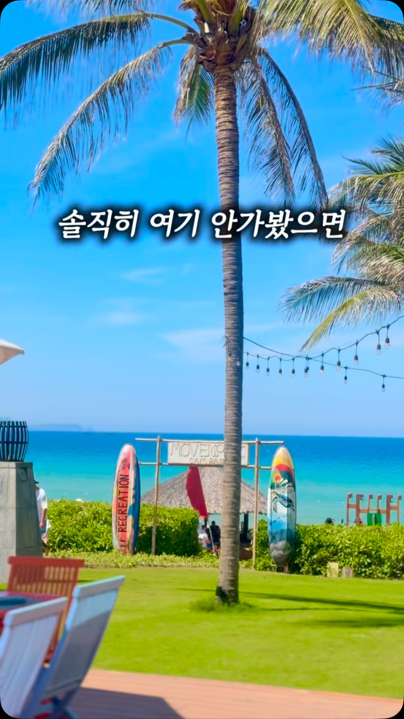 필로덴드론 제나두 셀렘