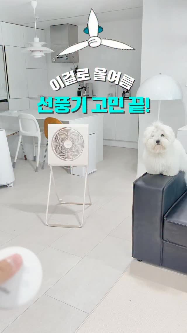 데일리룩