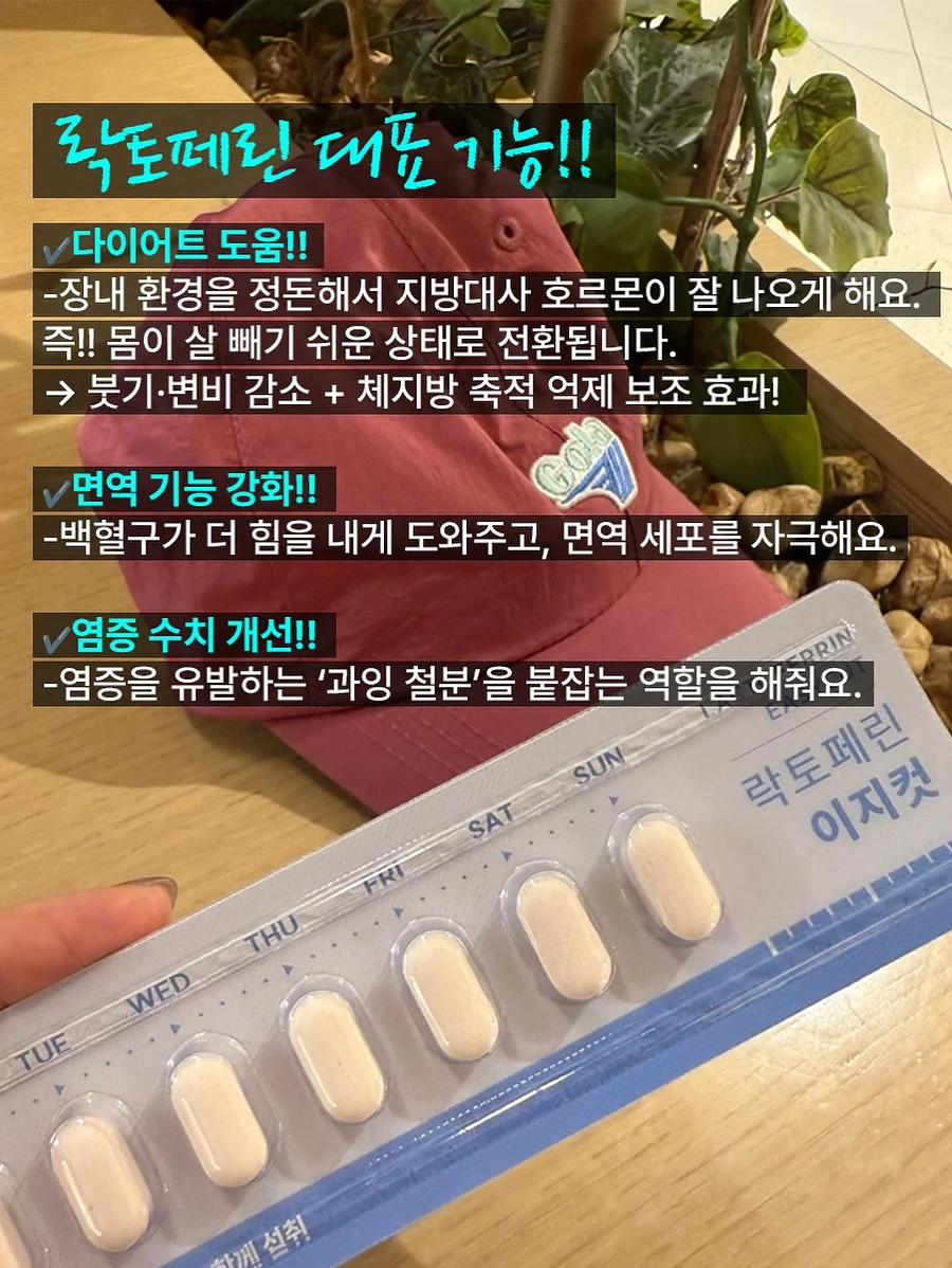 위타민 빌베리구미 4