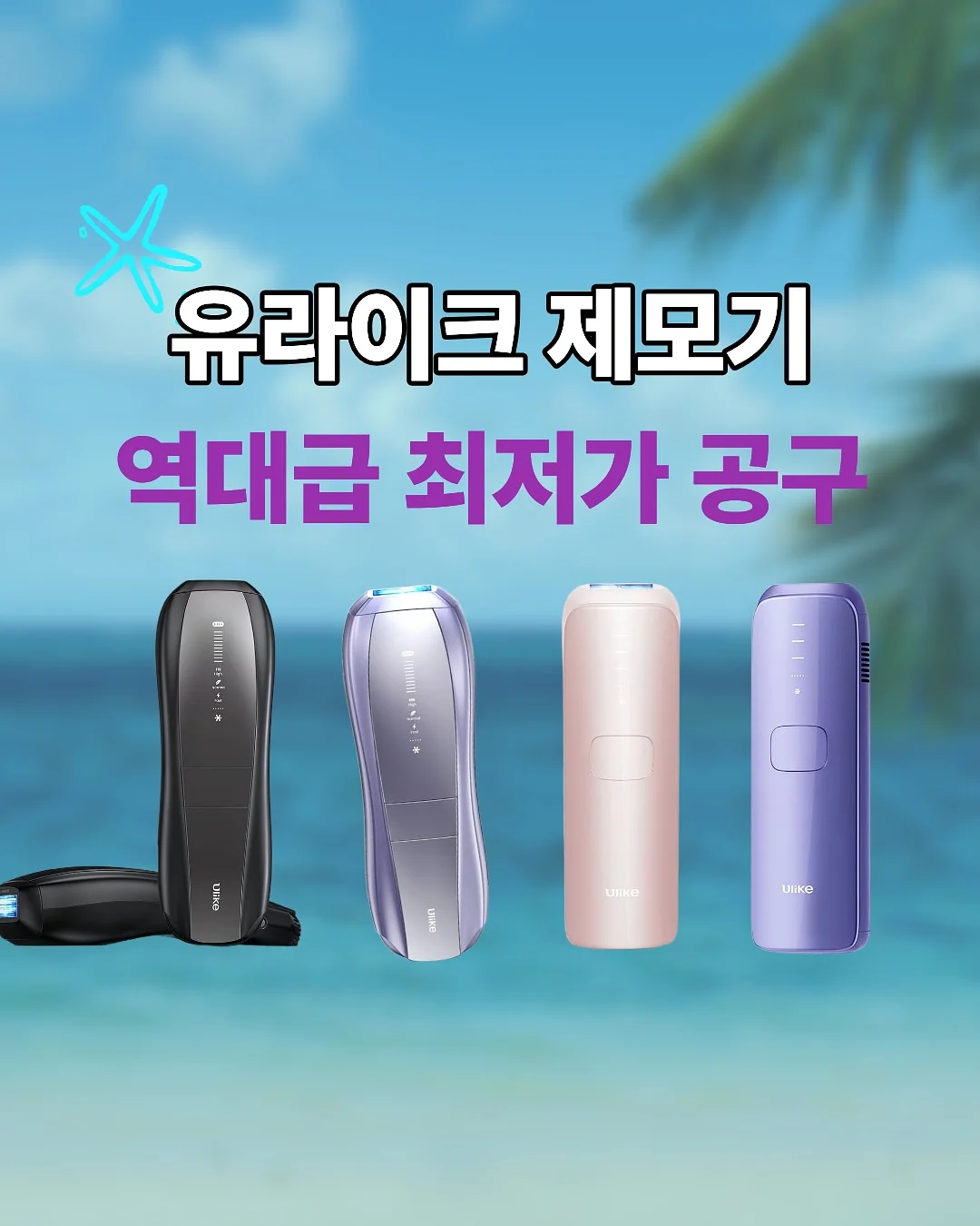 코이코야 봄신상 1