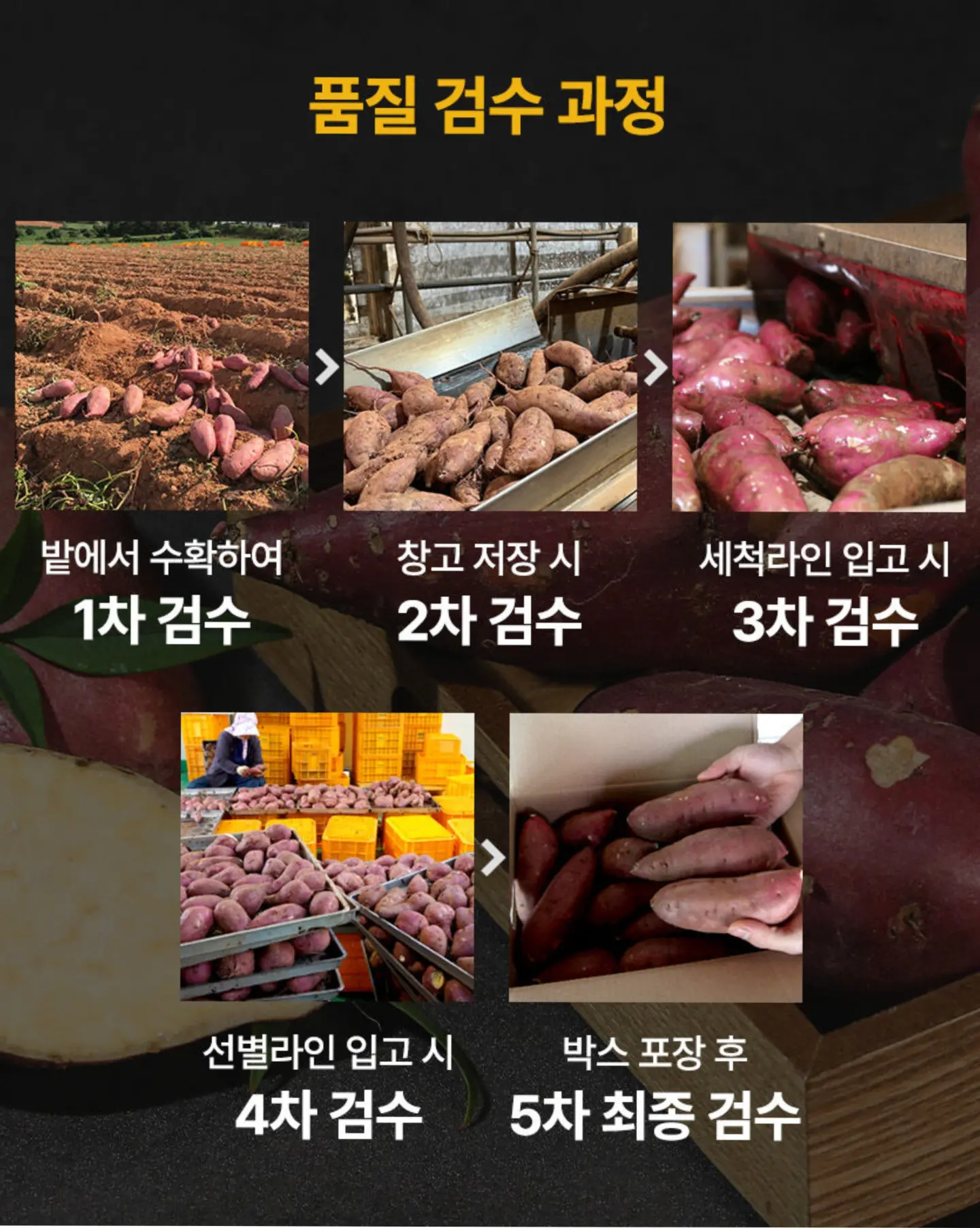 카라멜 토울 고구마 8