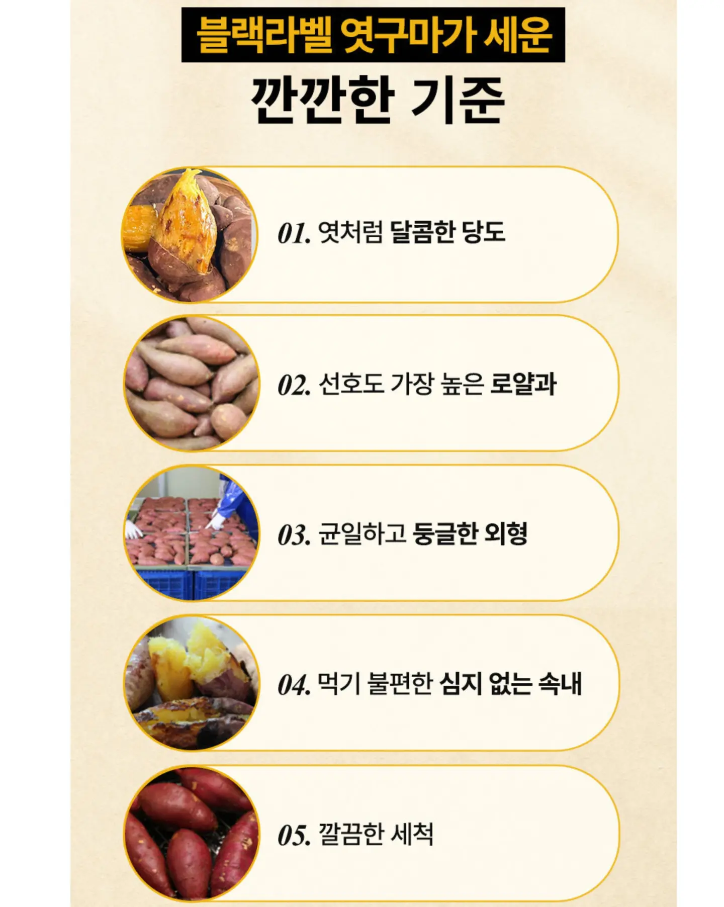 카라멜 토울 고구마 10