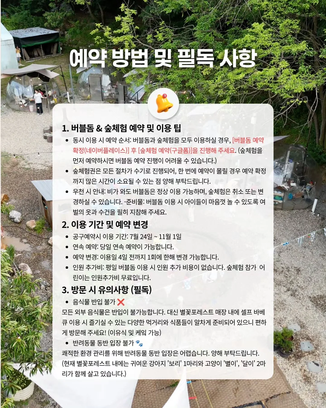 엠마 니트, 바네사 조각 스커트 20
