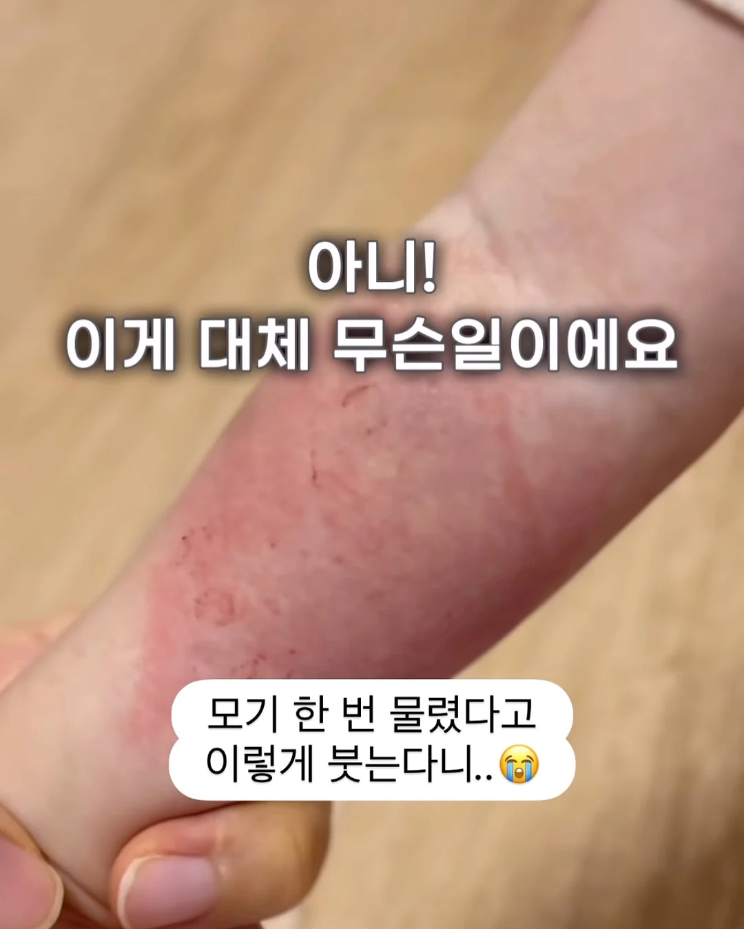 미니쿠키2종+휘낭시에 구성 1