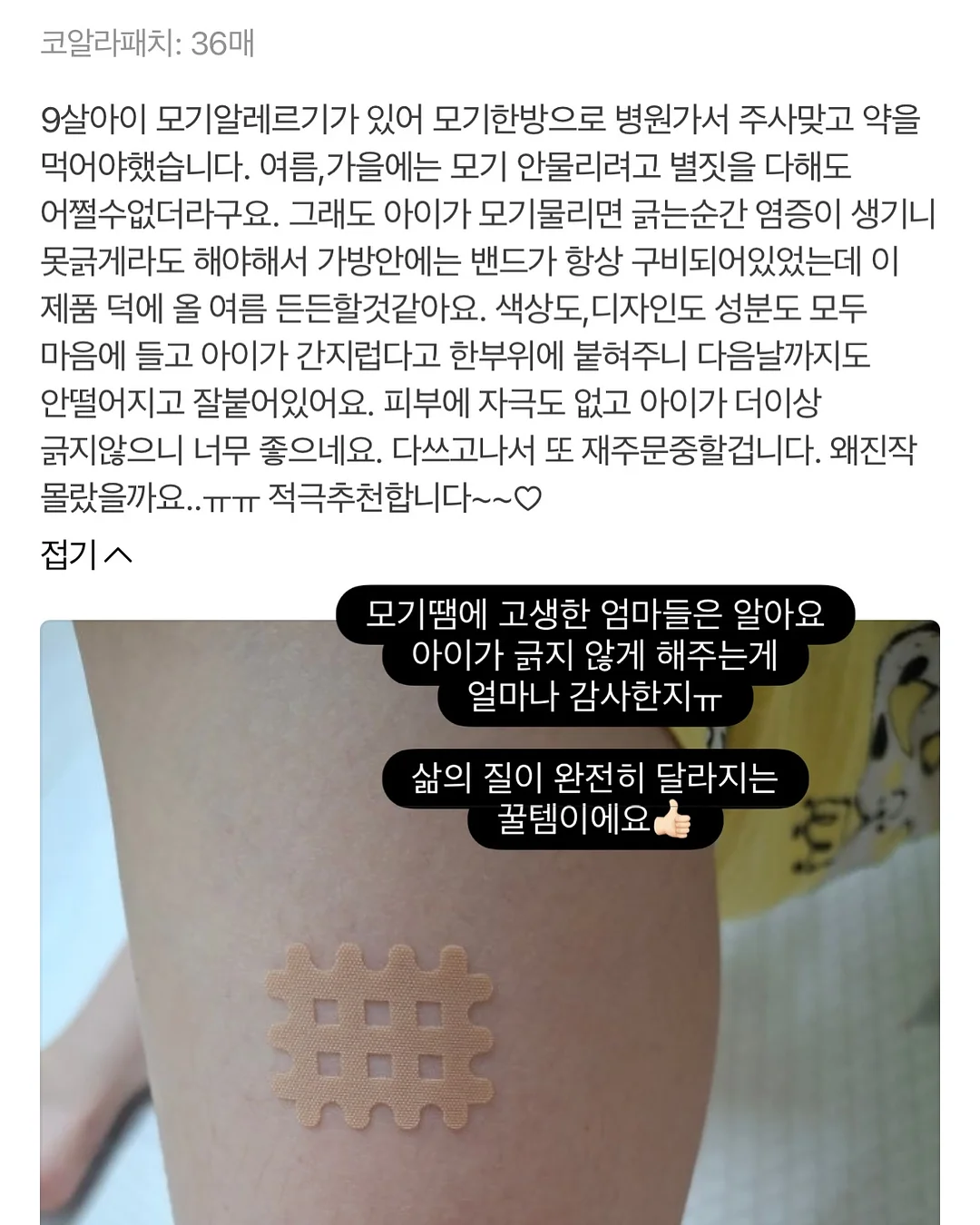 미니쿠키2종+휘낭시에 구성 17