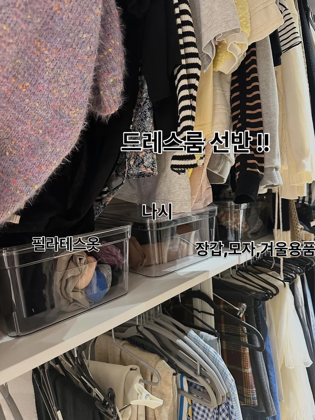 말랑카우T 11