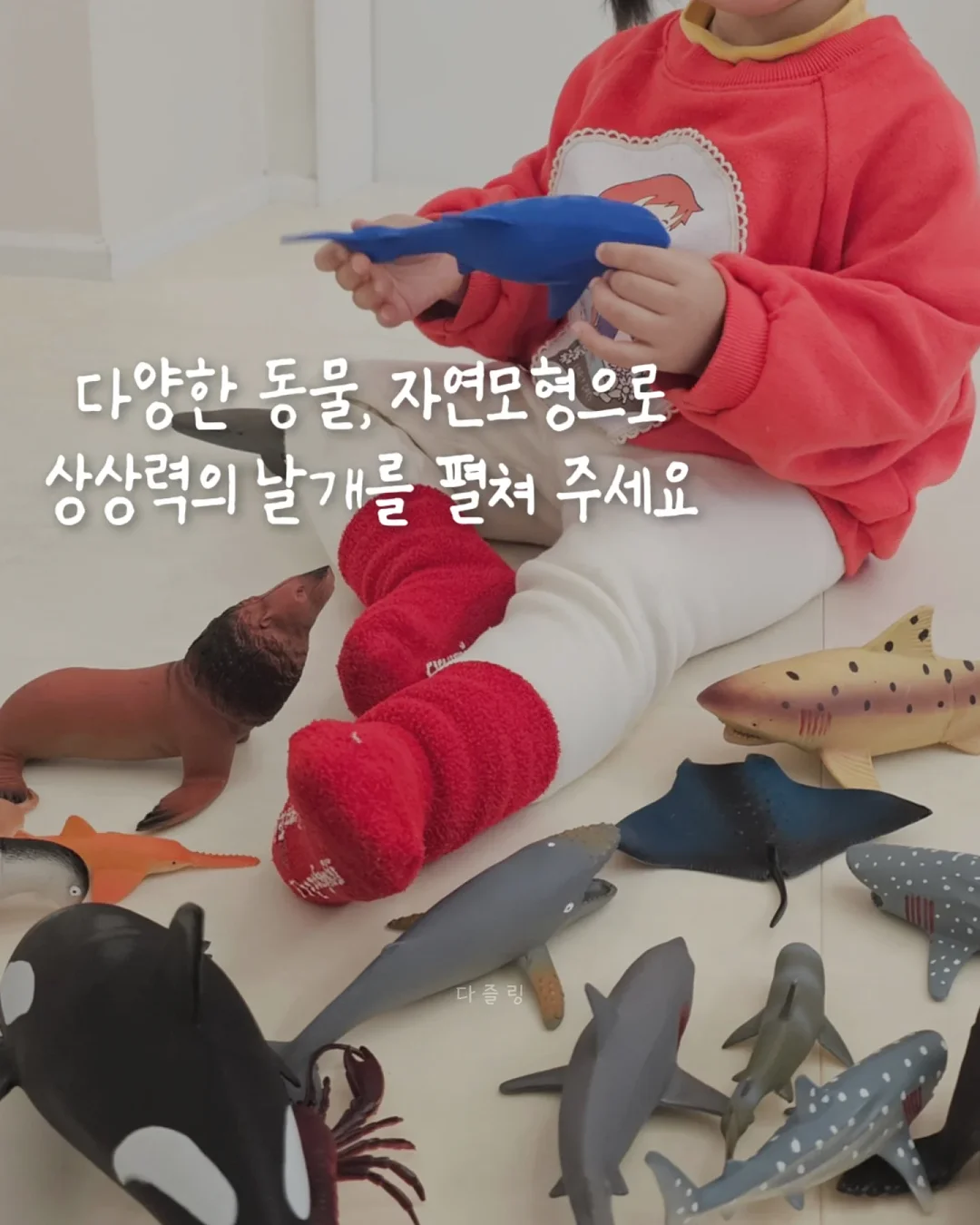 샤또 리외섹 2013 2