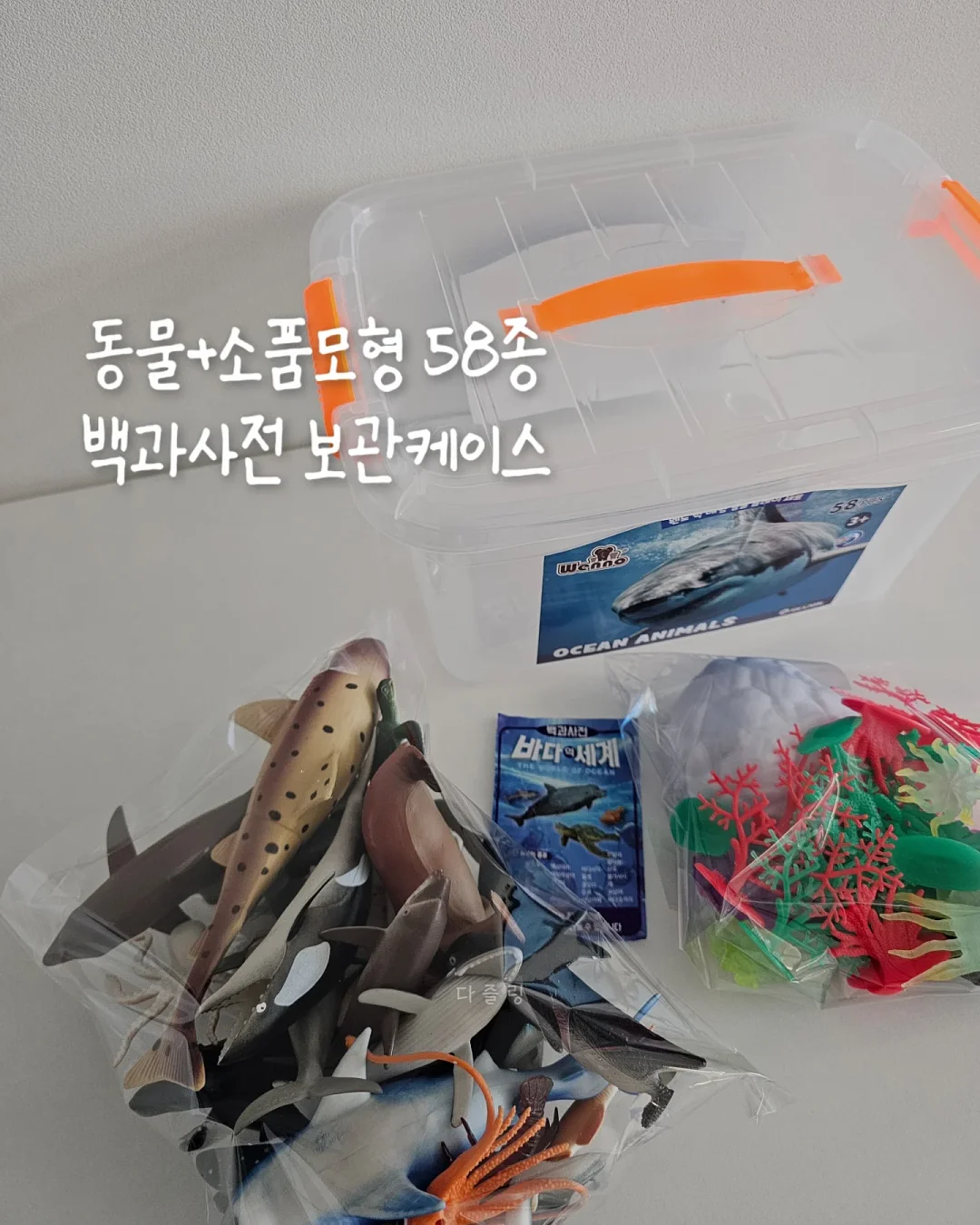 샤또 리외섹 2013 3