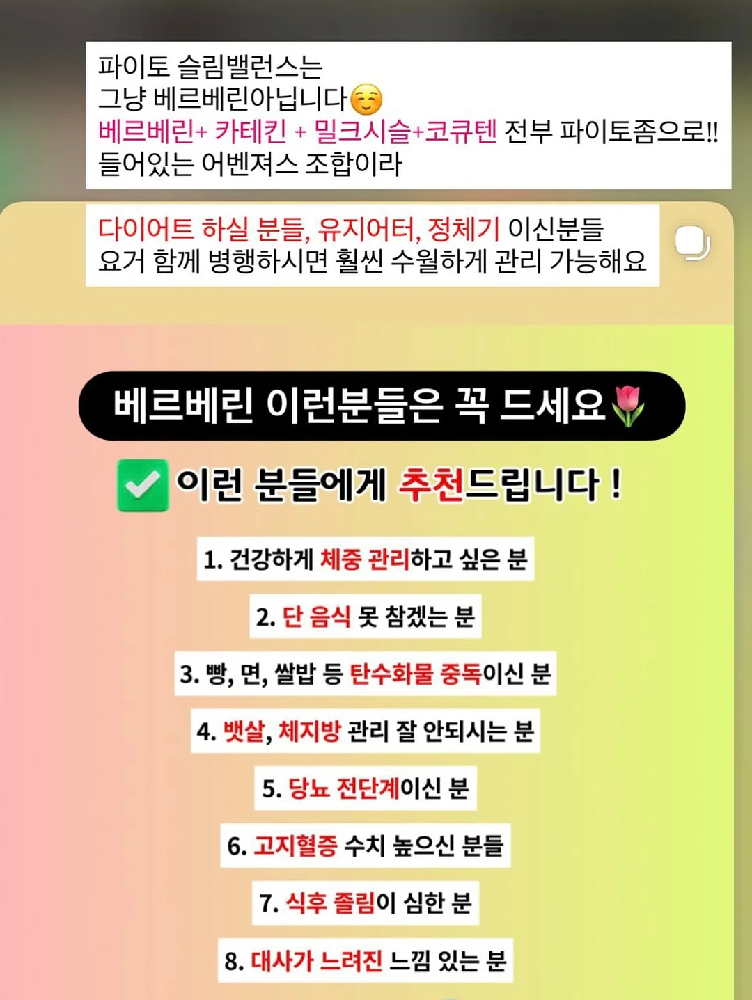 체크 레이어드 버뮤다 9
