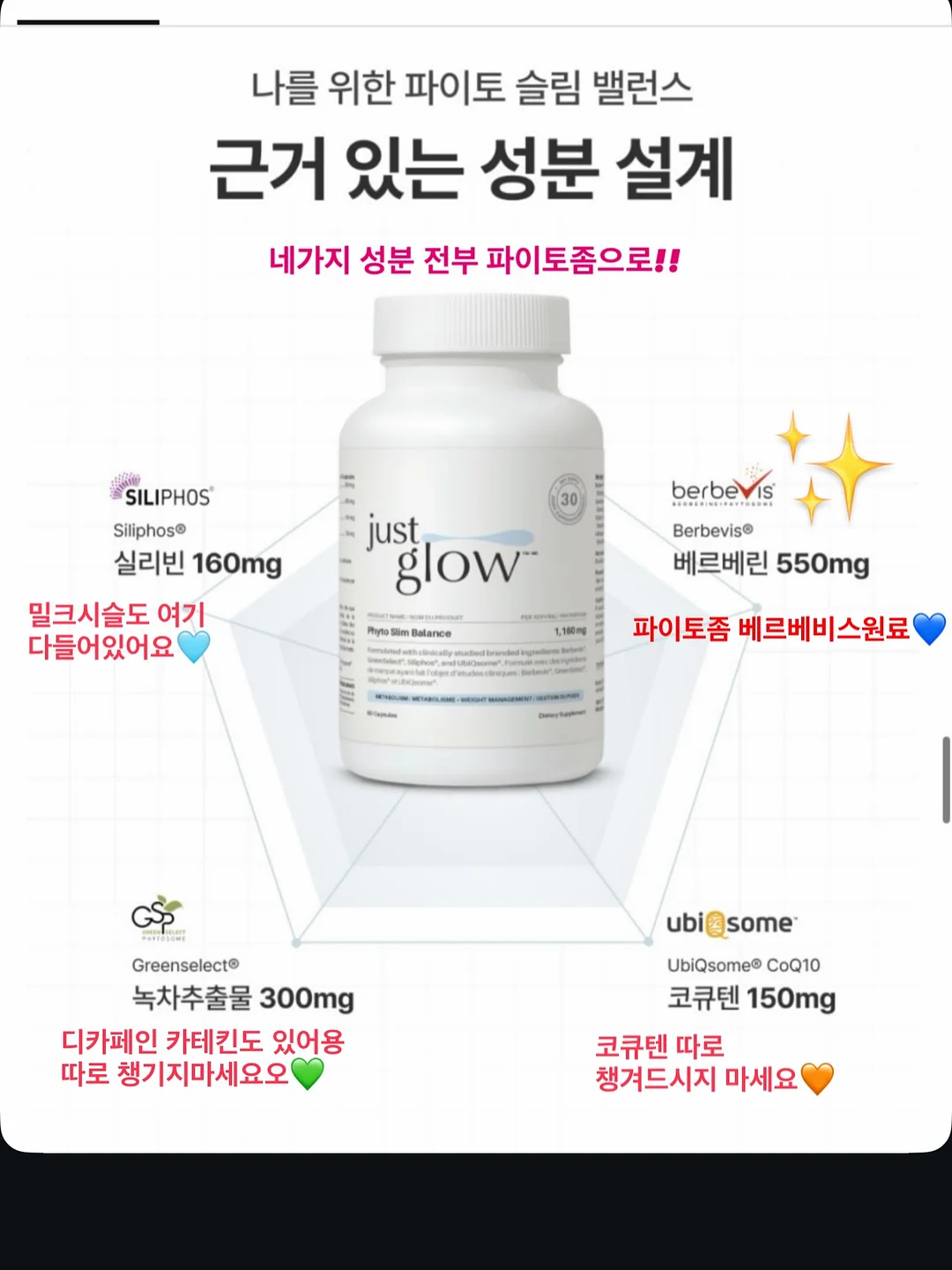 체크 레이어드 버뮤다 10
