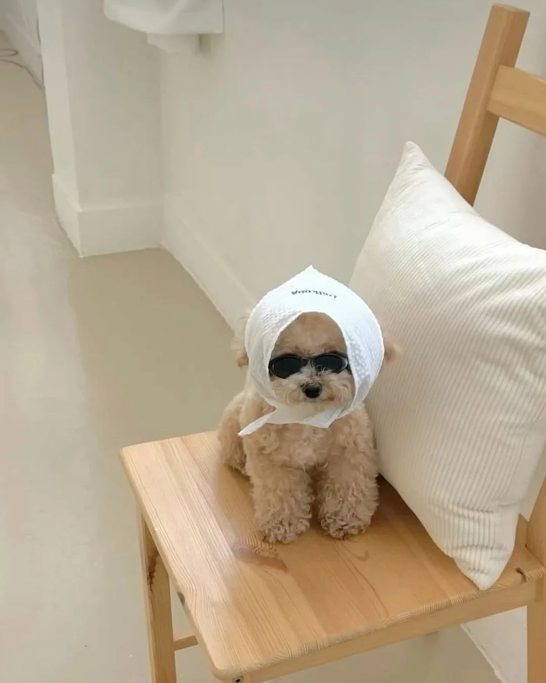 참다랑어 1번 뱃살 3