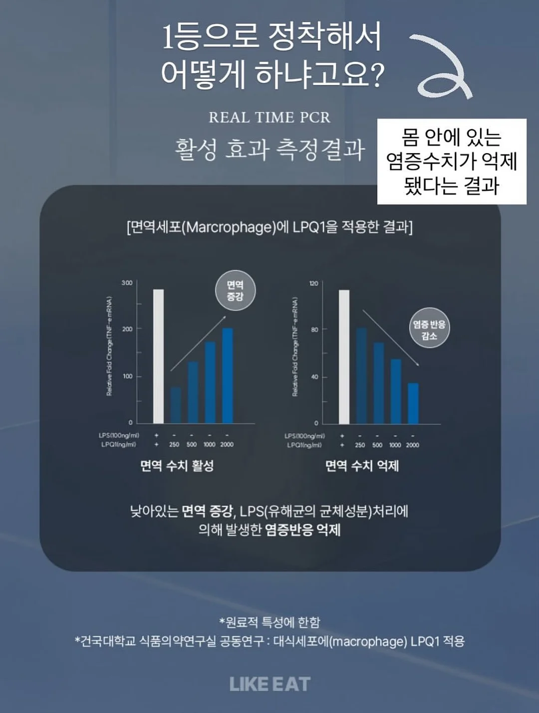 에그스쿨 14