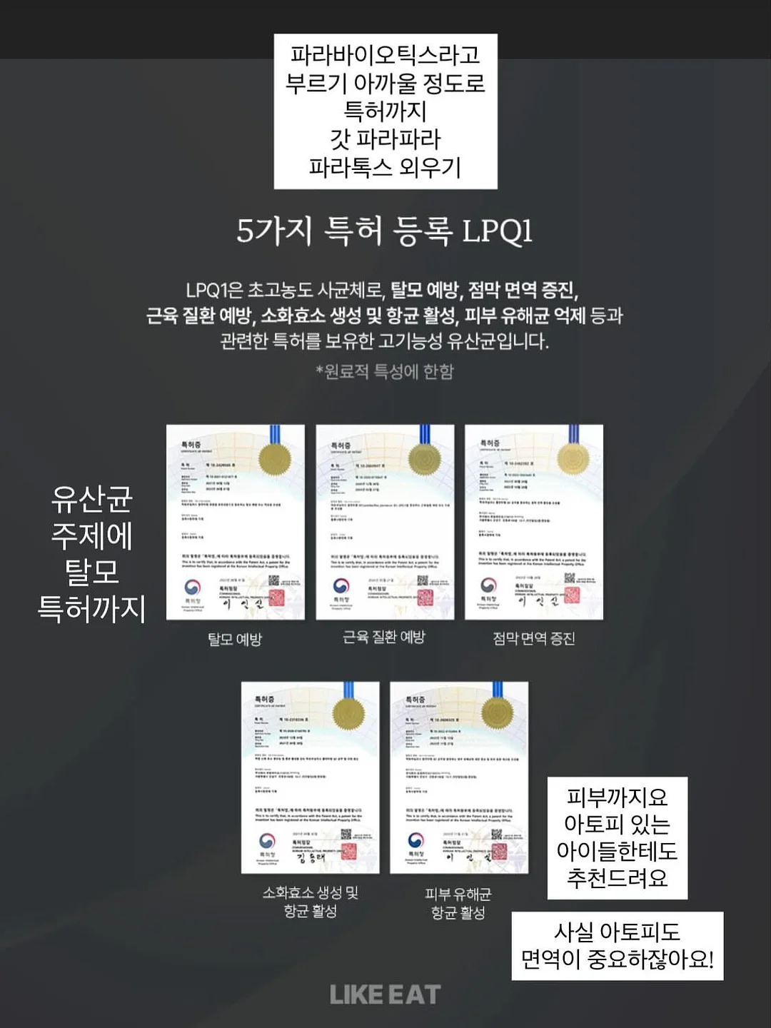 에그스쿨 16