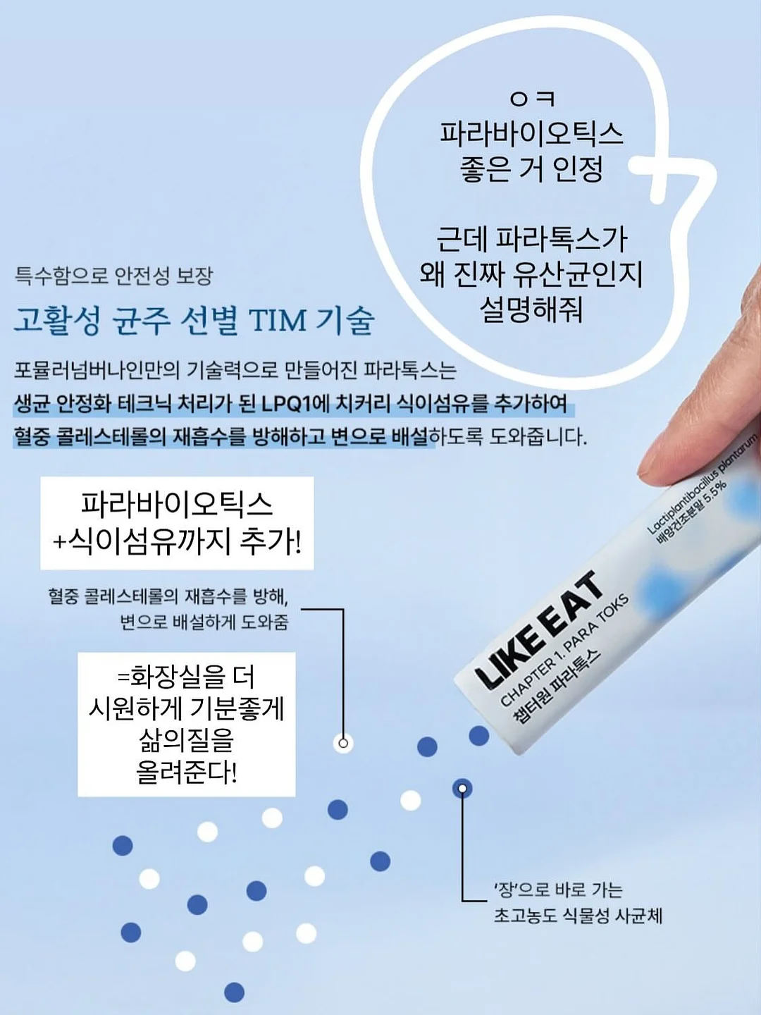 에그스쿨 17