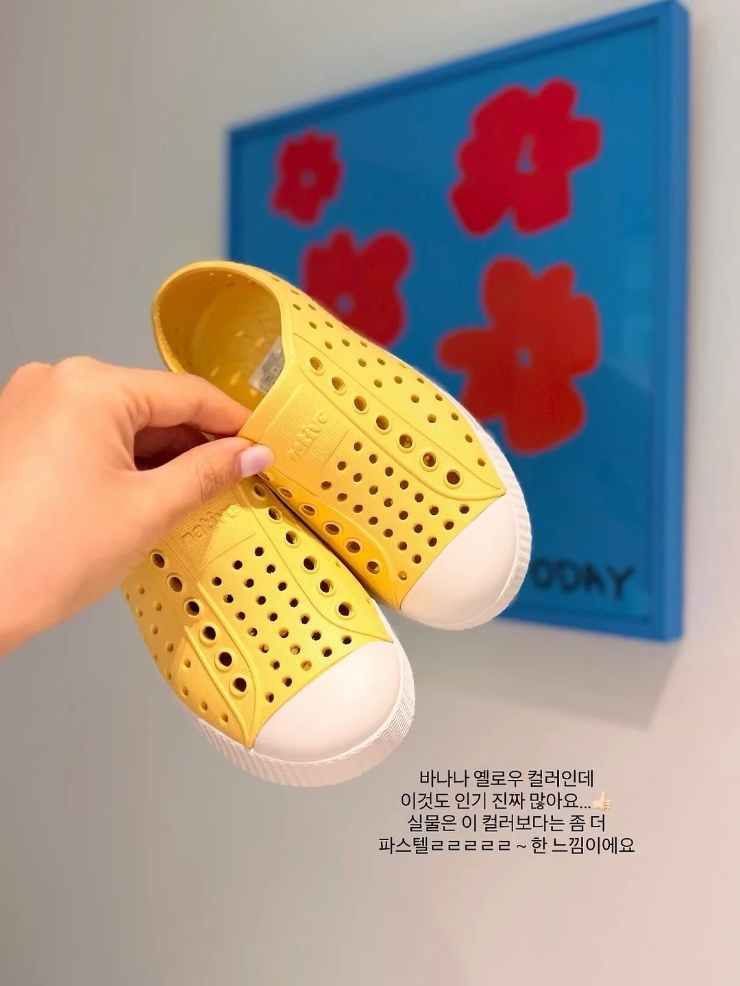 원더쿠키 17