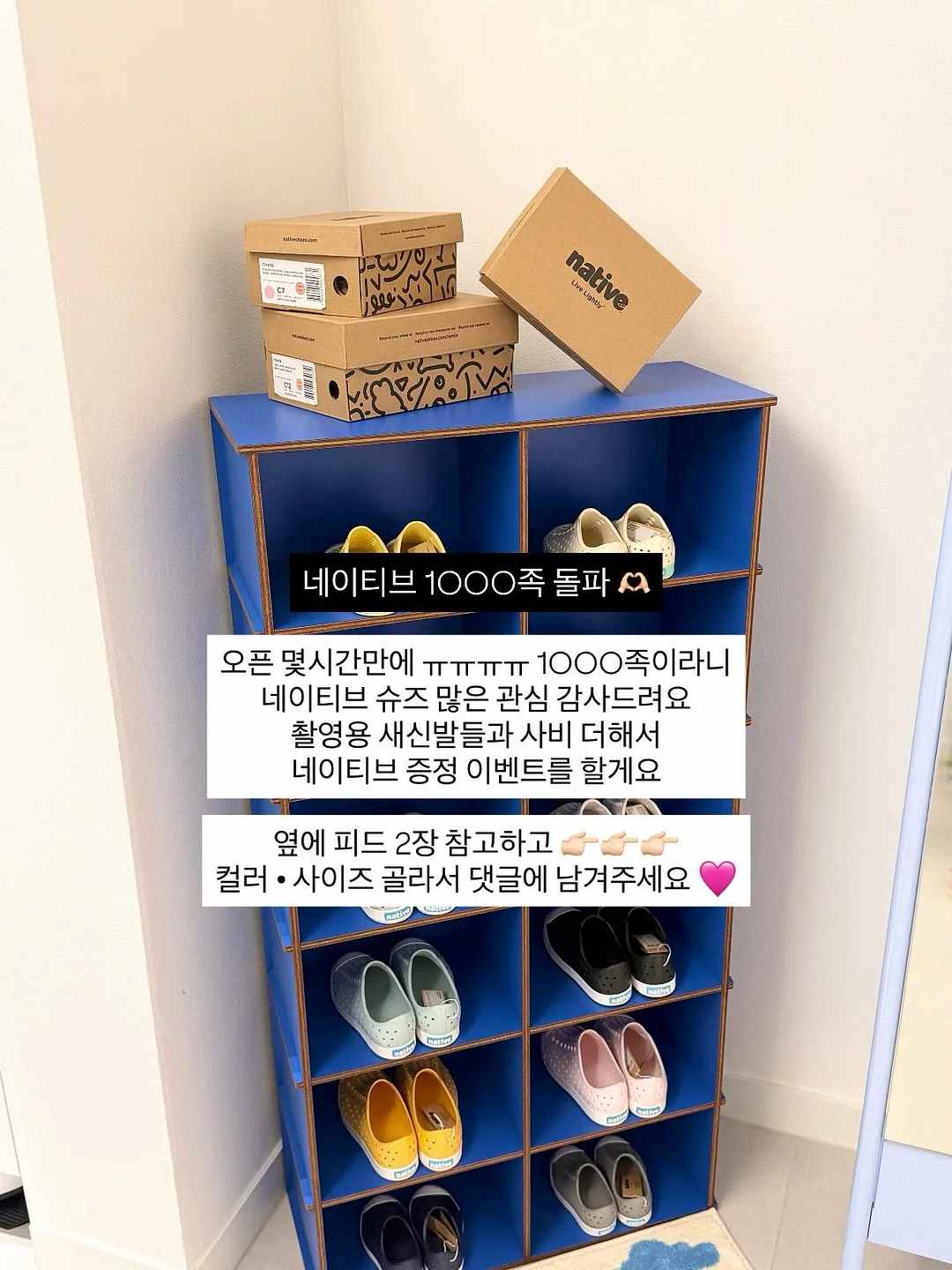 원더쿠키 2