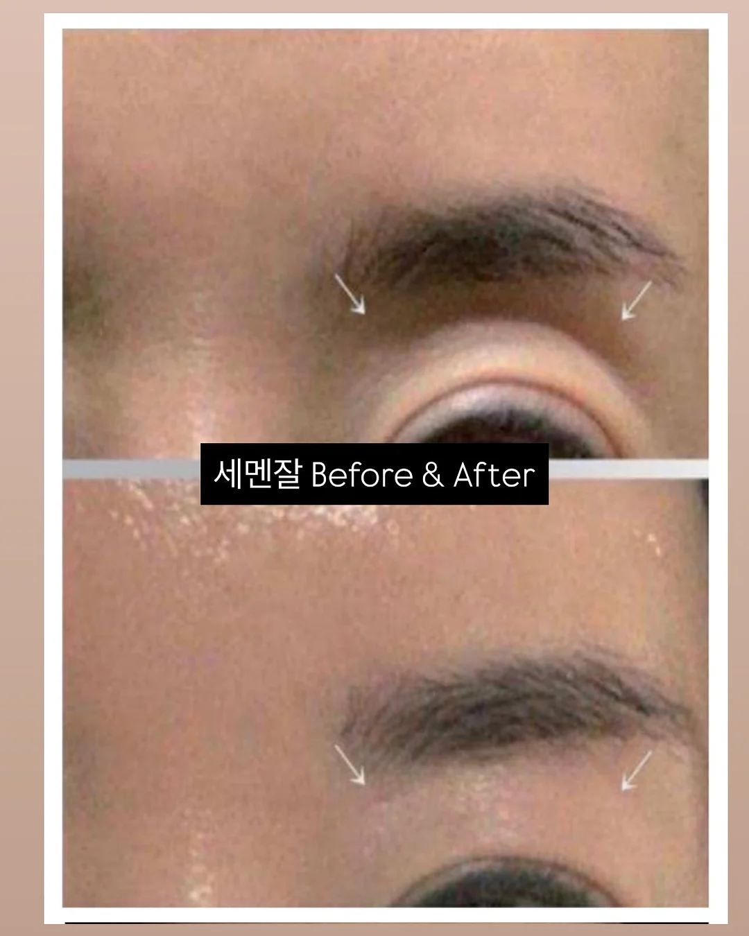과일송편 15구 12