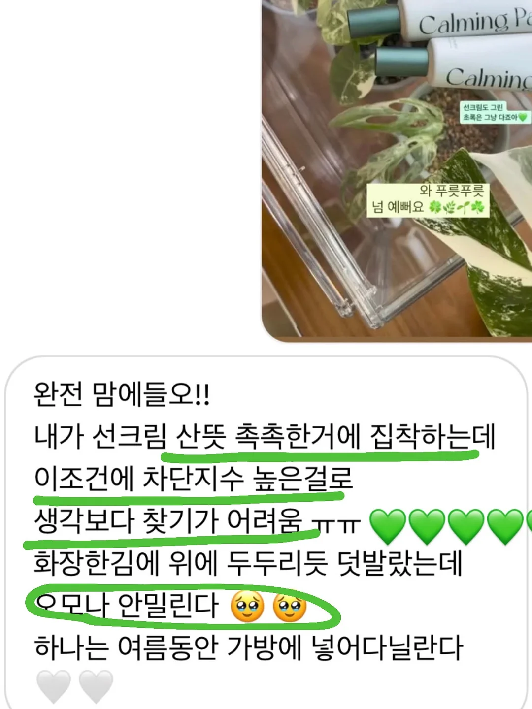 카스테라 홍감자 9