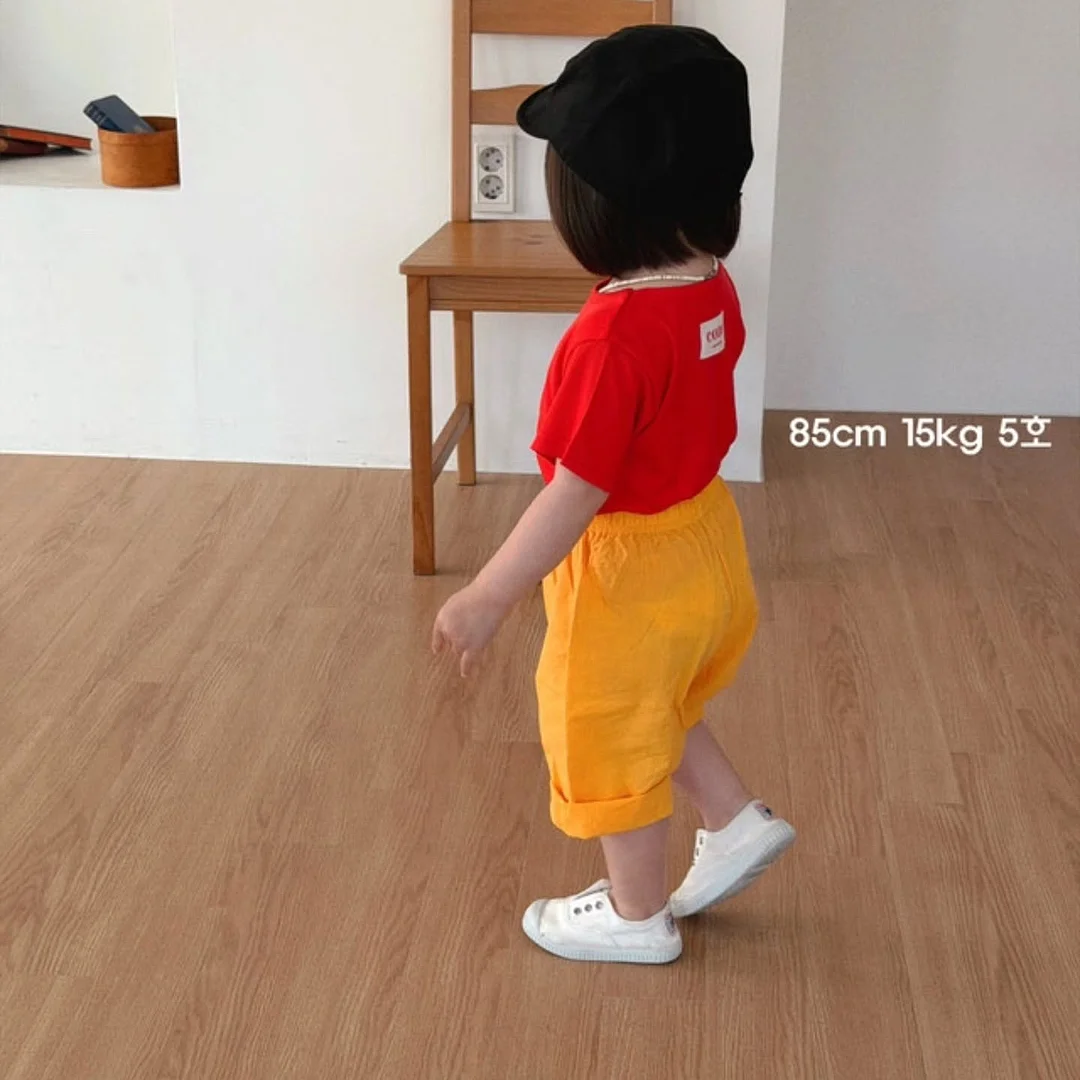 독해 입문서 15