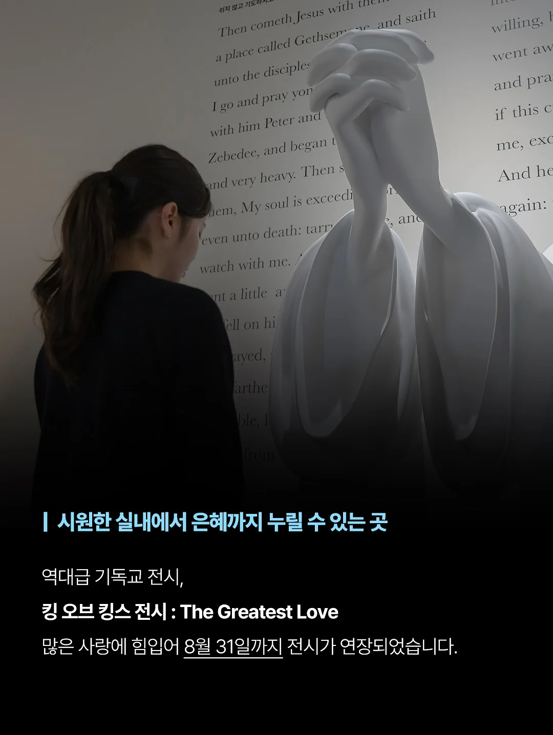 애니멀 비치가운 3