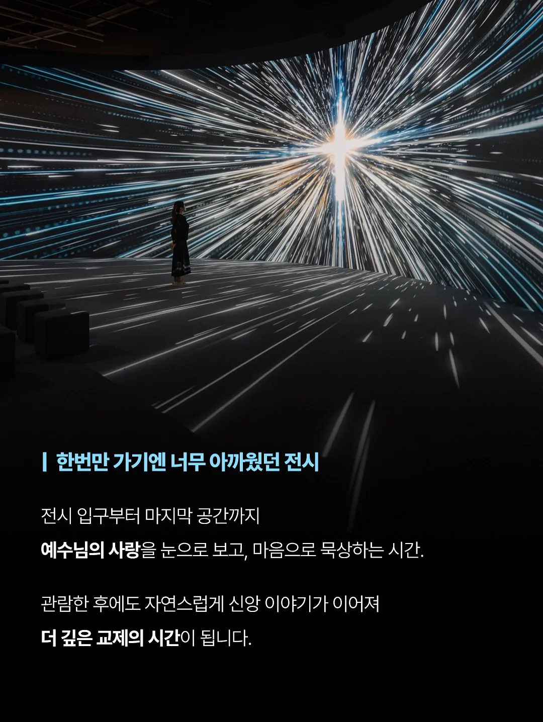 애니멀 비치가운 4