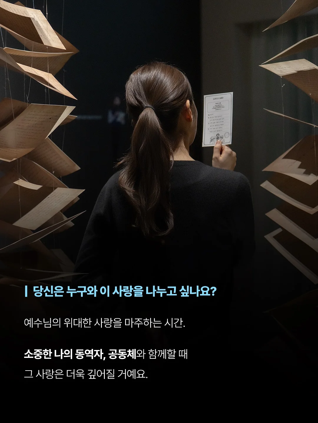 애니멀 비치가운 5