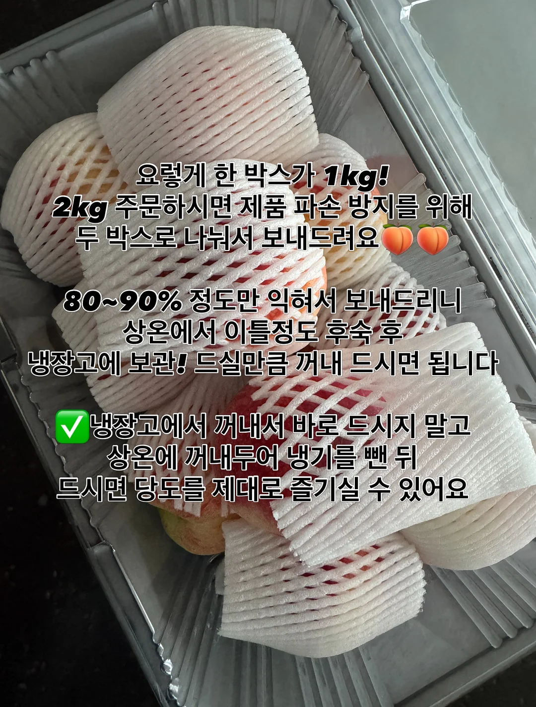 노일리 유자식초 산뜻 샴푸 3