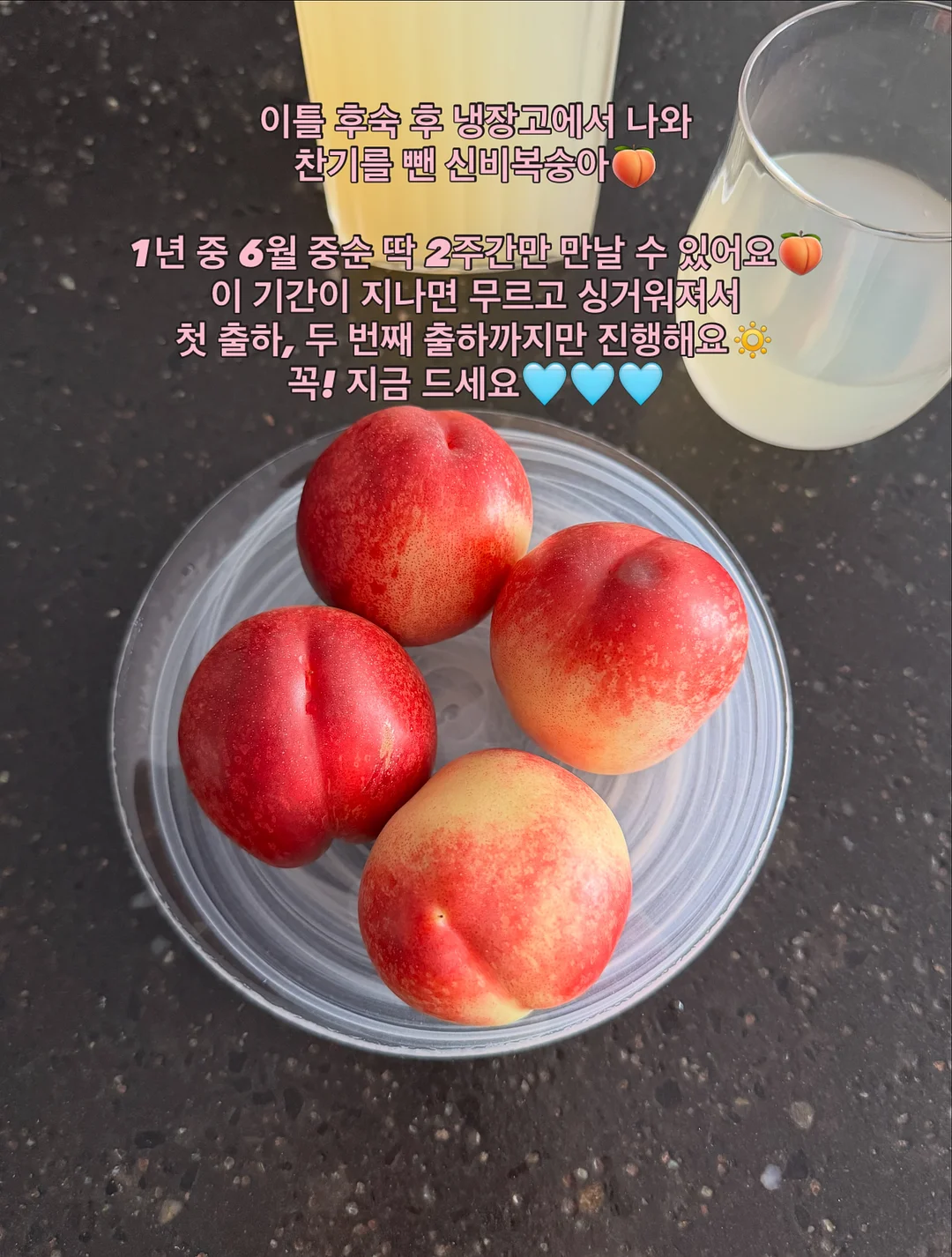 노일리 유자식초 산뜻 샴푸 4