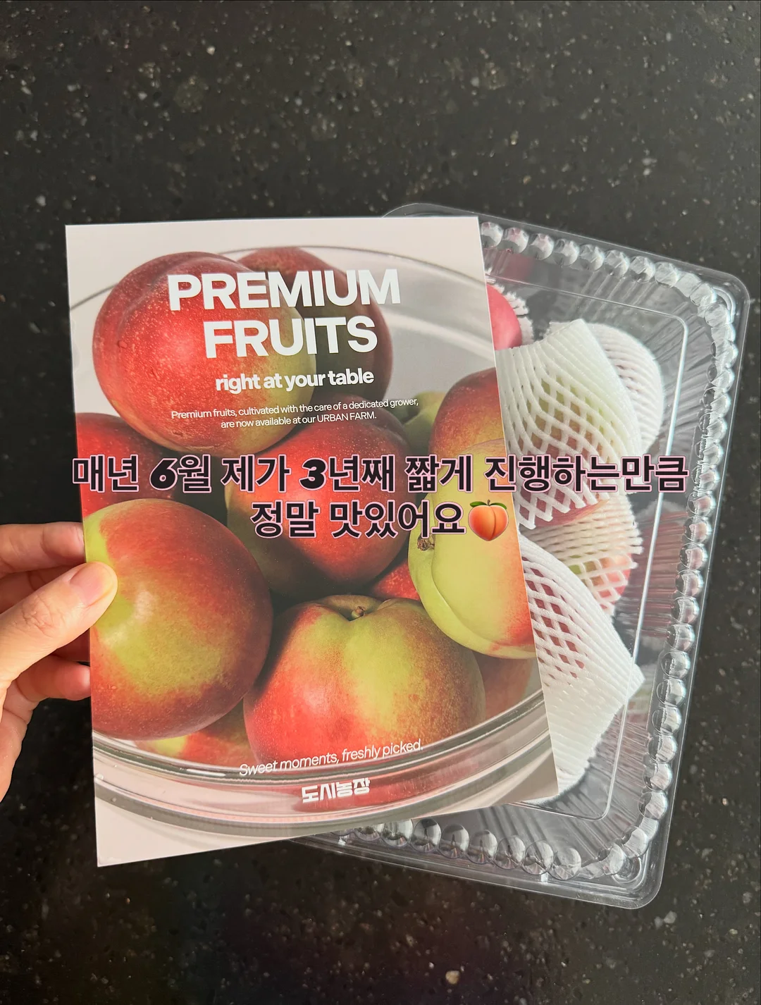 노일리 유자식초 산뜻 샴푸 5