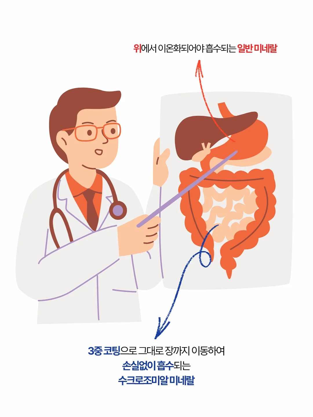 바다쌤 카네이션 카드 4
