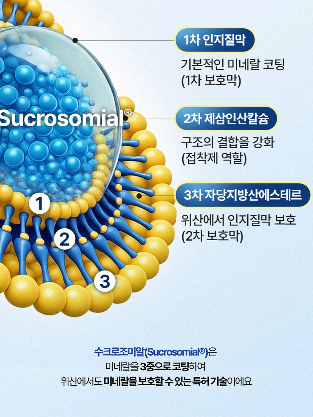 바다쌤 카네이션 카드 5