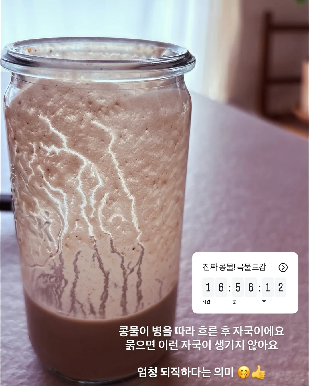 쪼꼬미 리본 콩콩 6