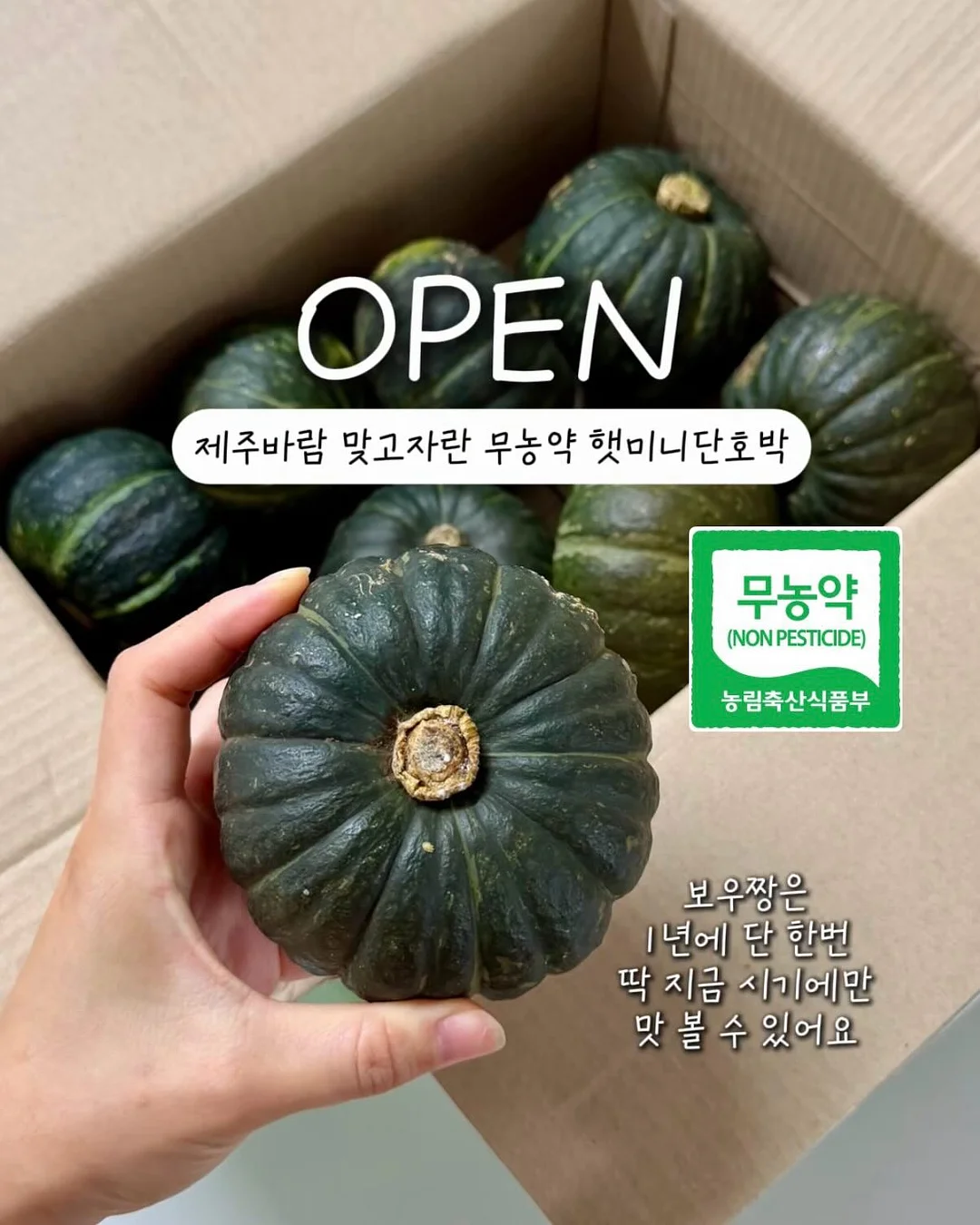 모든 날들이 행복했으면 좋겠어 1