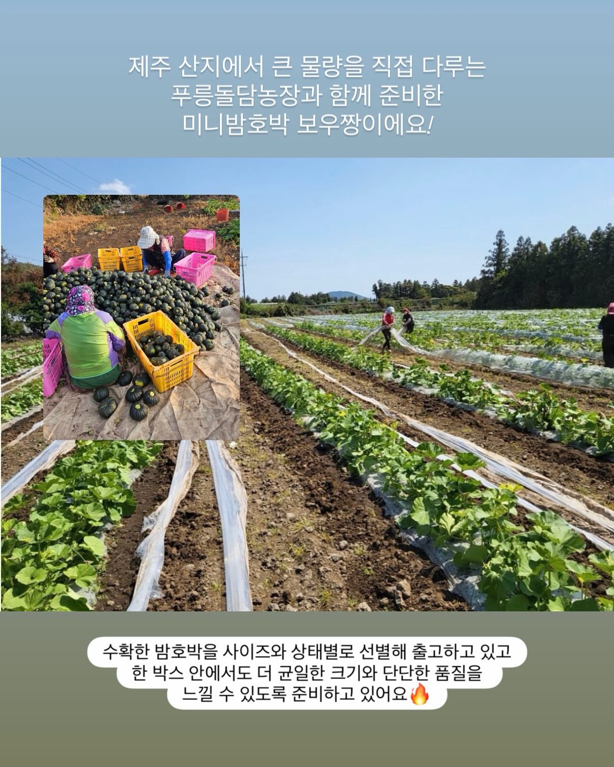모든 날들이 행복했으면 좋겠어 5