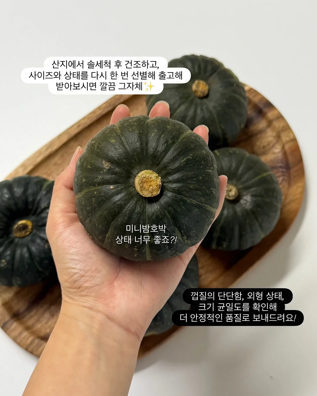 모든 날들이 행복했으면 좋겠어 7