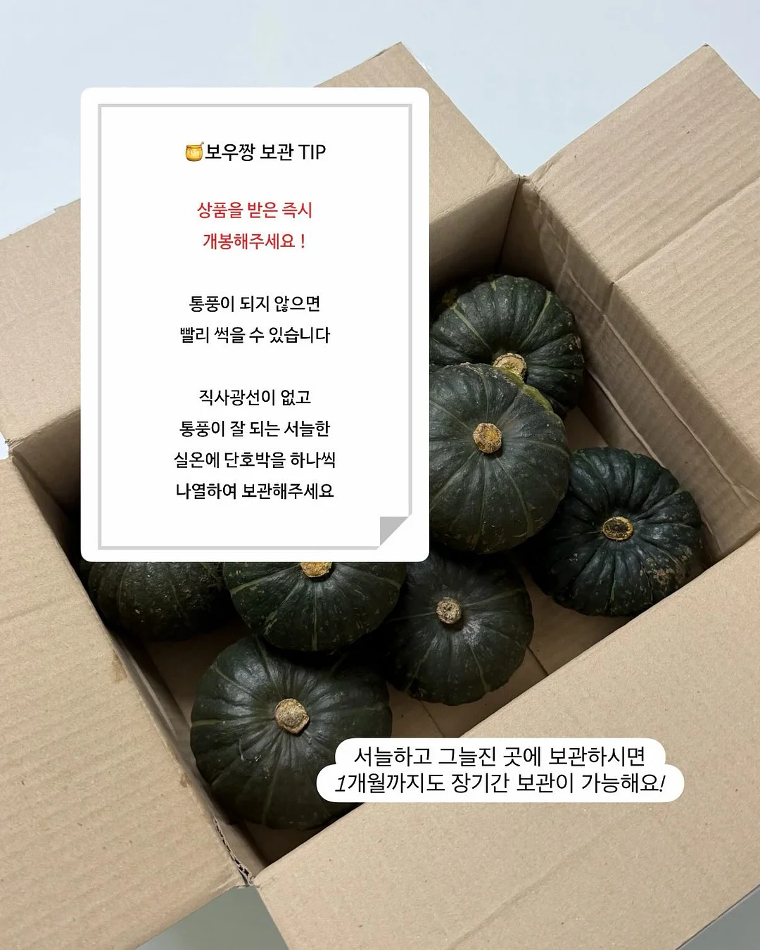 모든 날들이 행복했으면 좋겠어 10