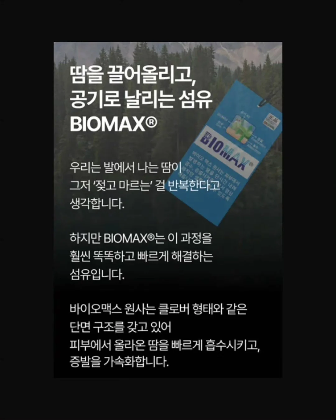 peebee 신상 11