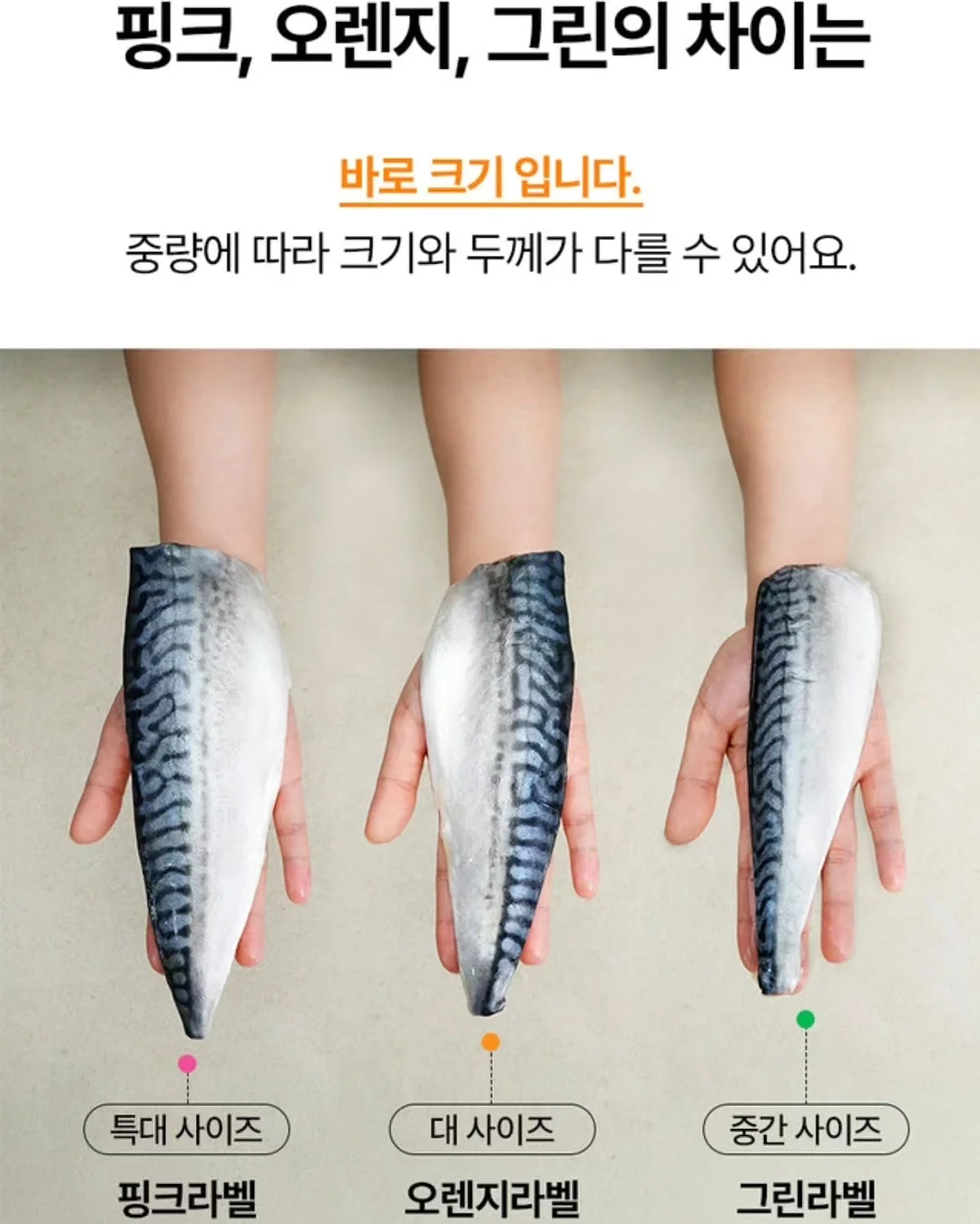 플랑크톤 모몽가 인형 11