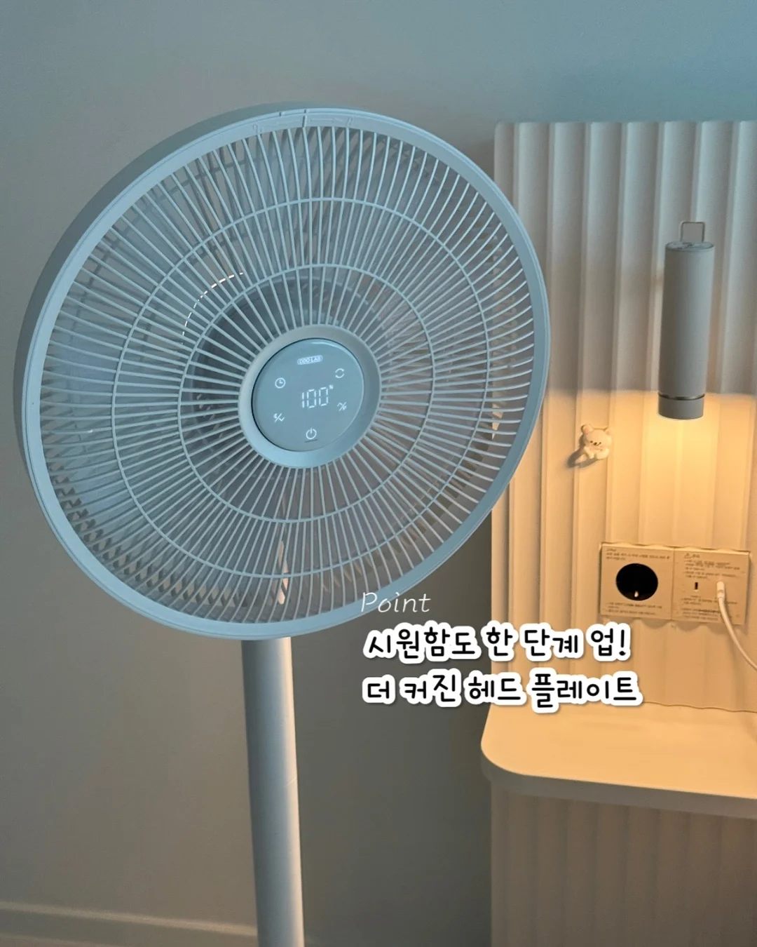 번앤번 병행 다이어트 8