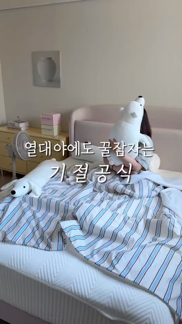 황칠나무