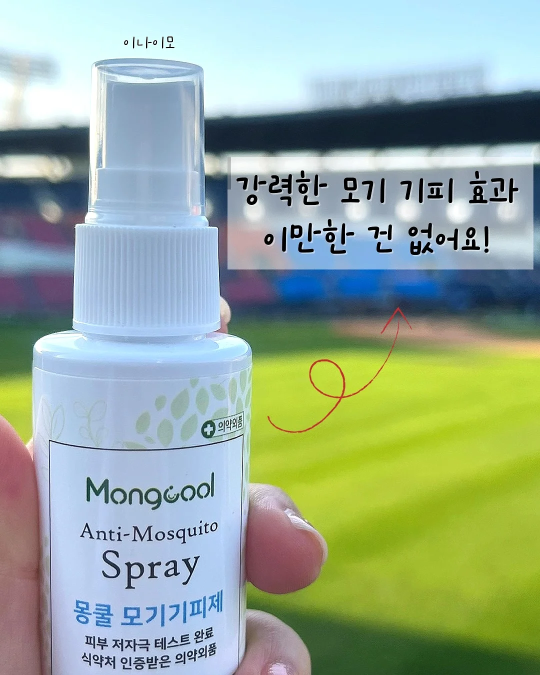 드부이에 프라이팬 2